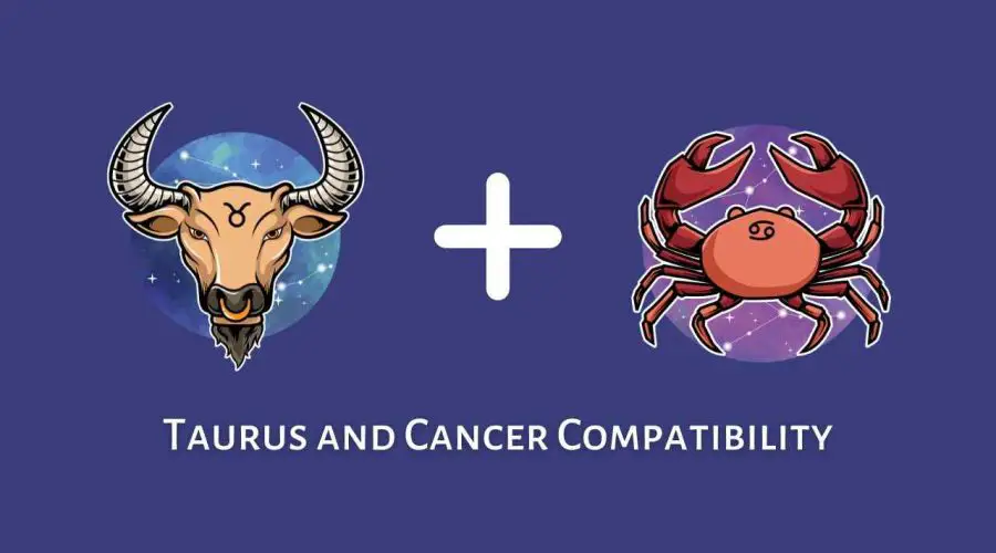 Taurus and Cancer Compatibility – Are Cancer and Taurus Compatible? [Updated 2023]