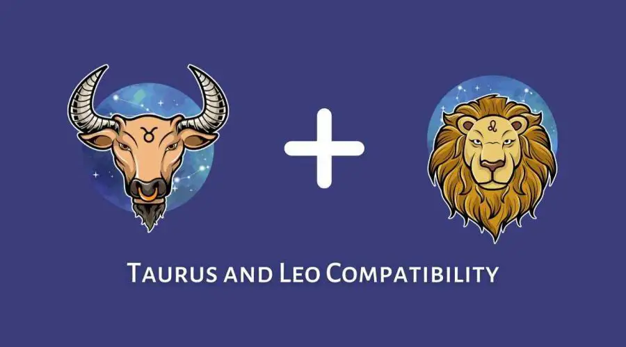 Taurus and Leo Compatibility – Are Leo and Taurus Compatible? [Updated 2023]
