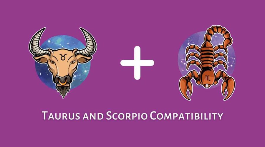 Taurus and Scorpio Compatibility – Are Scorpio and Taurus Compatible? [Updated 2023]