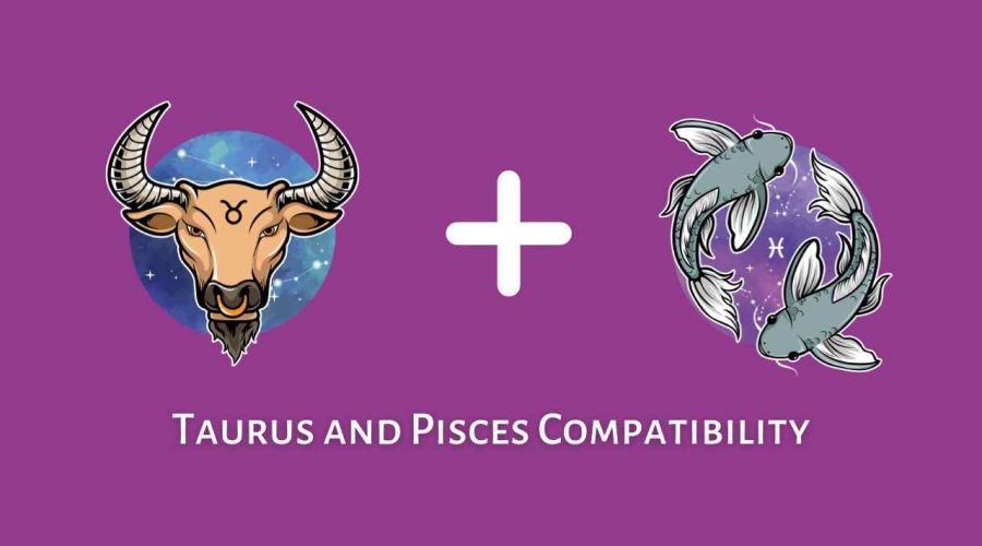 Taurus and Pisces Compatibility – Are Pisces and Taurus Compatible? [Updated 2023]