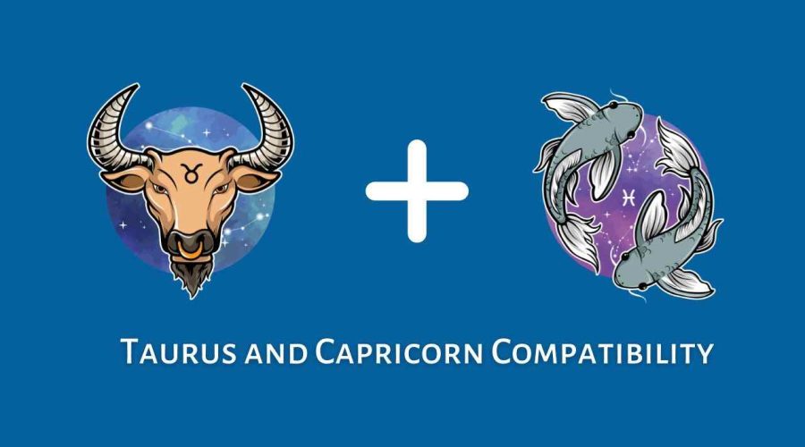 Taurus and Capricorn Compatibility – Are Capricorn and Taurus Compatible? [Updated 2023]