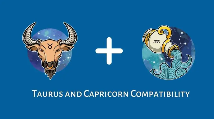 Taurus and Aquarius Compatibility – Are Aquarius and Taurus Compatible? [Updated 2023]