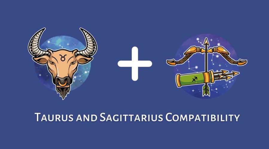 Taurus and Sagittarius Compatibility – Are Sagittarius and Taurus Compatible? [Updated 2023]