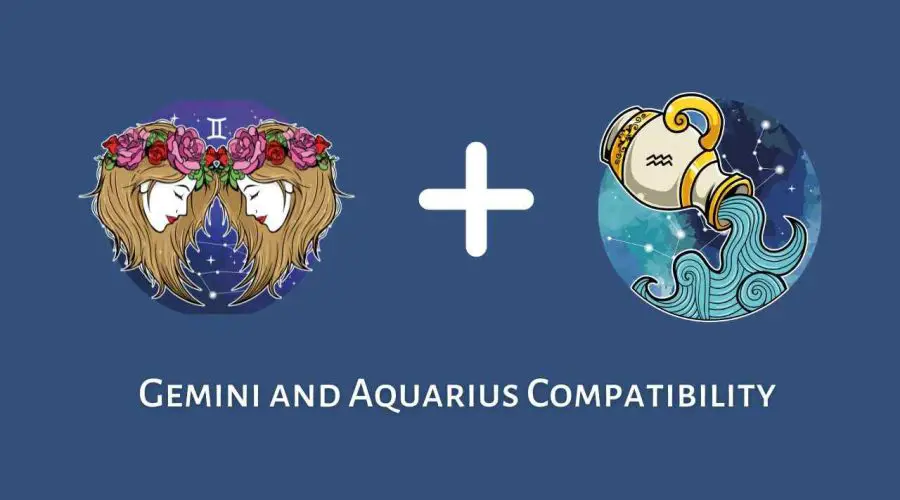 Gemini and Aquarius Compatibility – Are Aquarius and Gemini Compatible? [Updated 2023]