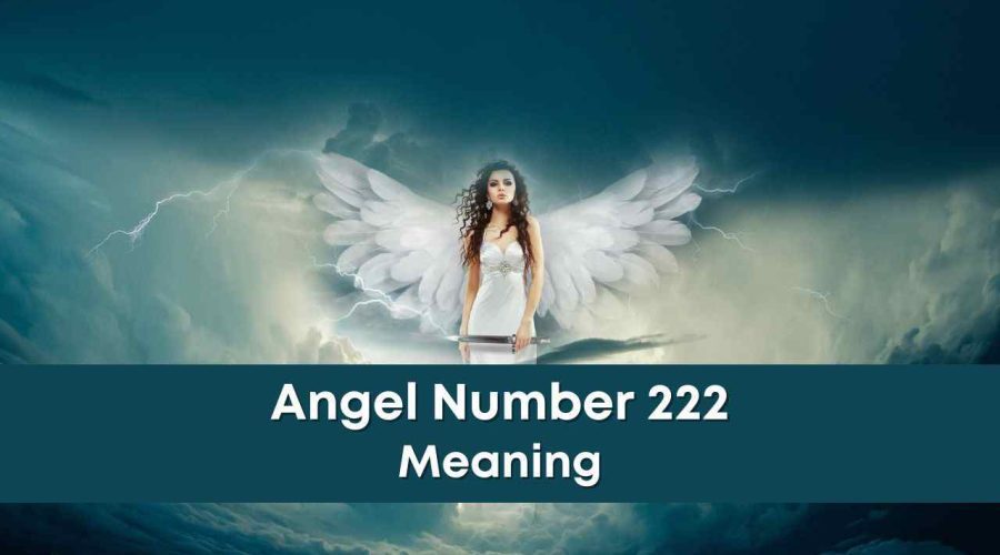 Angel Number 222 Meaning in Money, Career & Business
