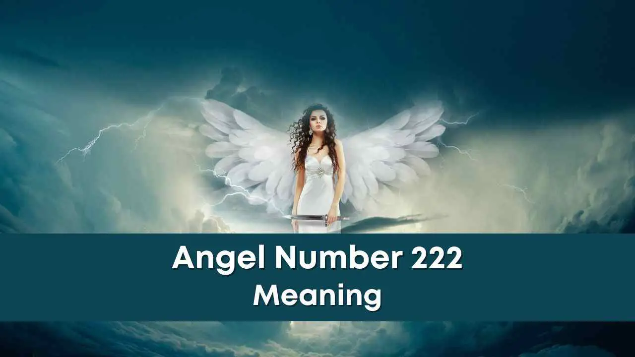 Angel Number 222 Meaning in Money, Career & Business - eAstroHelp