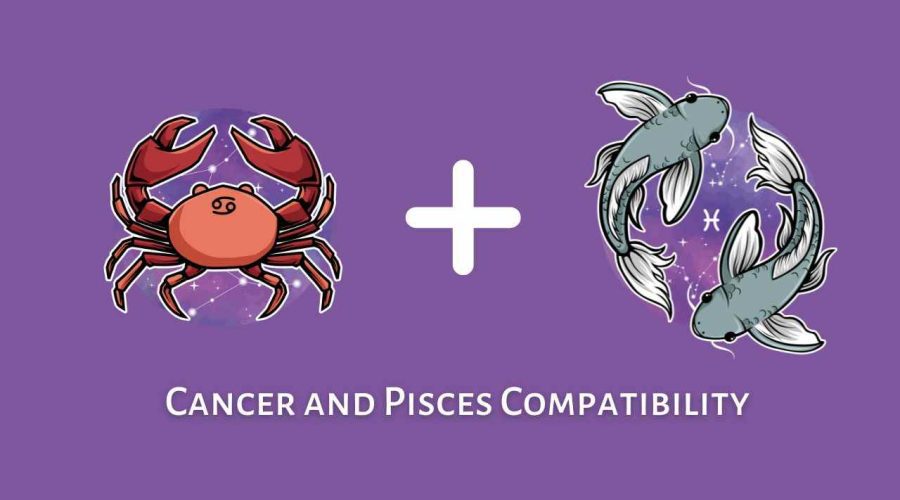 Cancer and Pisces Compatibility – Are Pisces and Cancer Compatible? [Updated 2023]