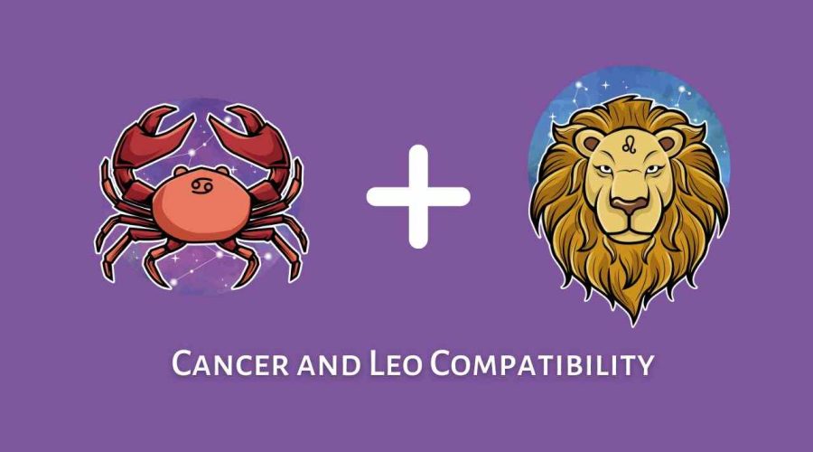 Cancer and Leo Compatibility – Are Leo and Cancer Compatible? [Updated 2023]