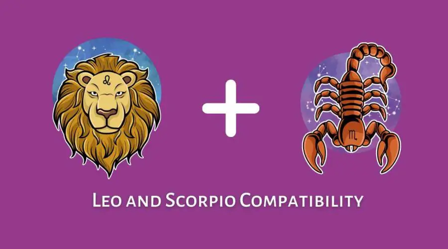 Leo and Scorpio Compatibility – Are Scorpio and Leo Compatible? [Updated 2023]