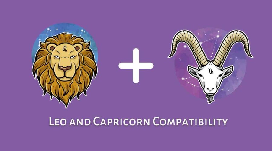 Leo and Capricorn Compatibility – Are Capricorn and Leo Compatible? [Updated 2023]