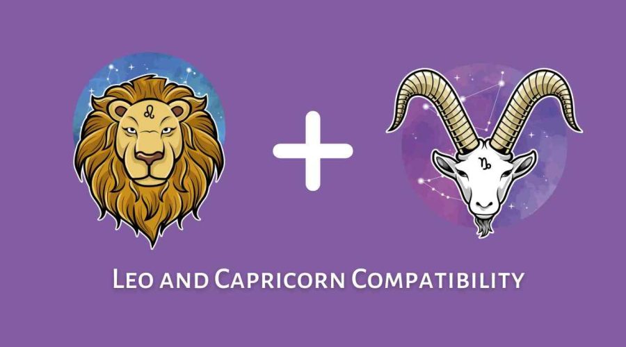 Leo and Capricorn Compatibility – Are Capricorn and Leo Compatible? [Updated 2023]