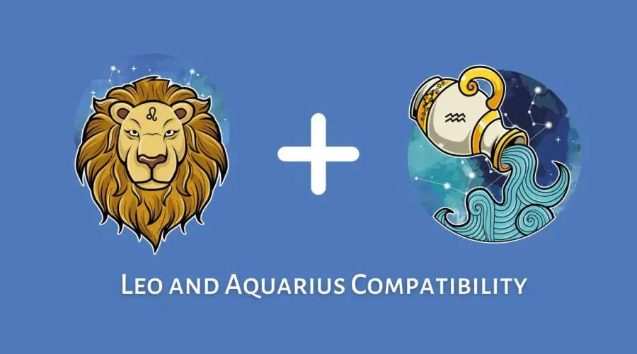 Leo and Aquarius Compatibility – Are Aquarius and Leo Compatible? [Updated 2023]