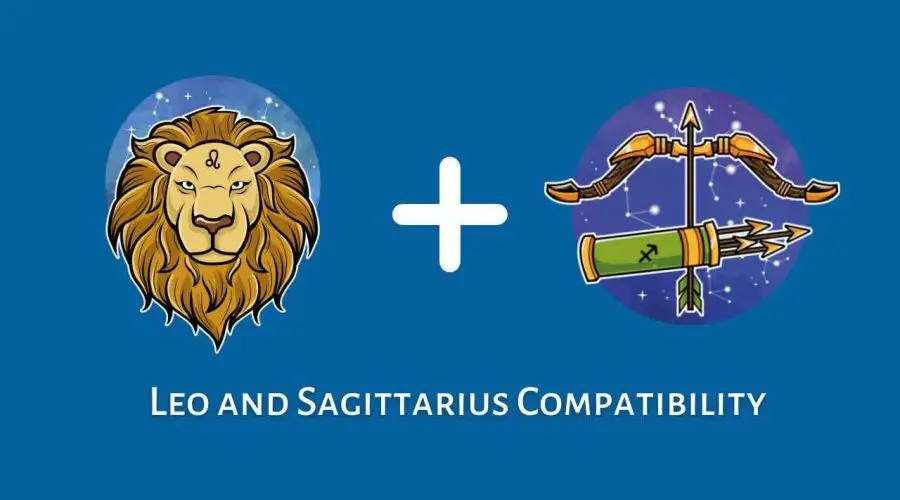Leo and Sagittarius Compatibility – Are Sagittarius and Leo Compatible? [Updated 2023]