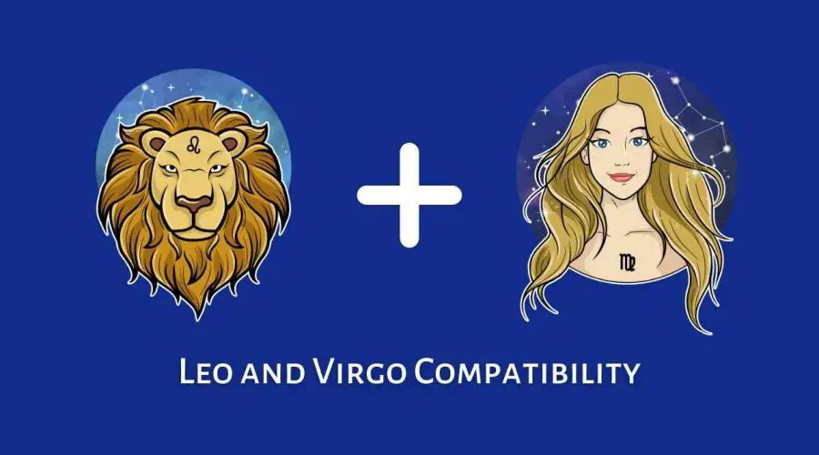 Leo and Virgo Compatibility – Are Virgo and Leo Compatible? [Updated 2023]