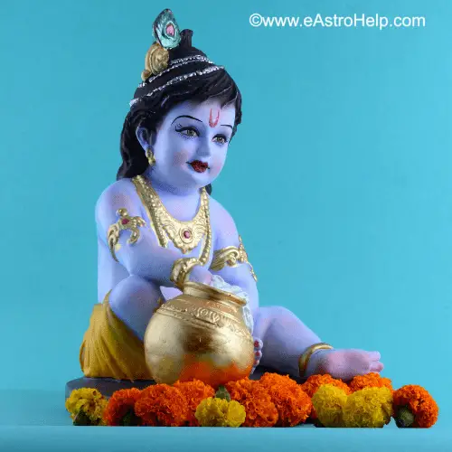 Lord Krishna WhatsApp DP 3