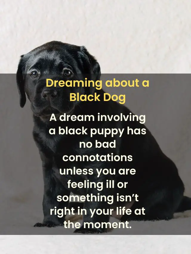 What Does It Mean To Dream Of Black Dogs