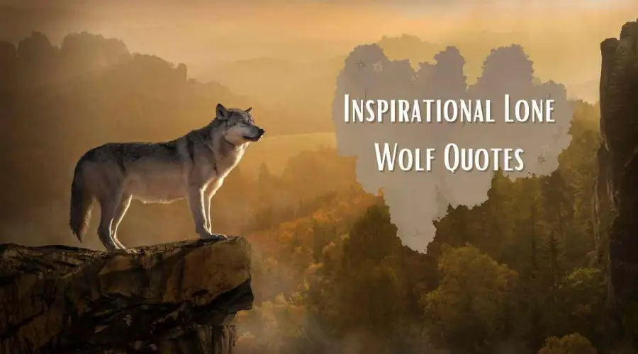 Top 50 Inspirational Lone Wolf Quotes for Year 2023