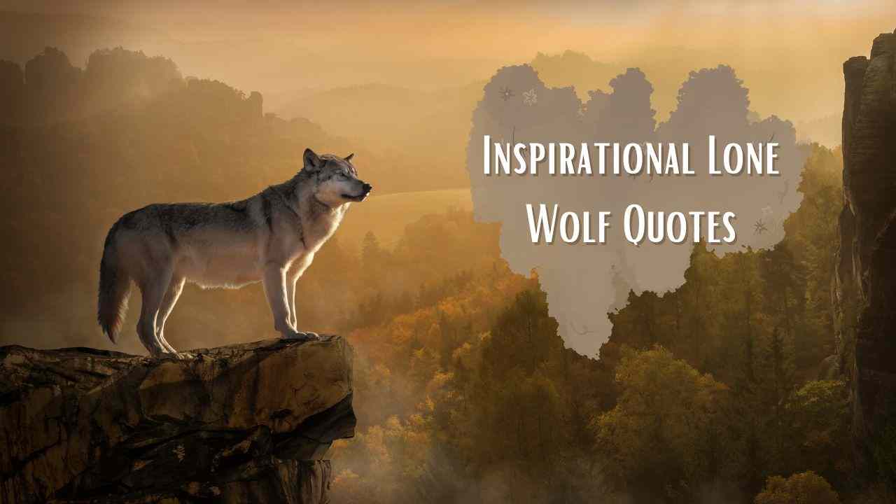 79 Therian ideas in 2023  wolf quotes, lone wolf quotes, warrior quotes