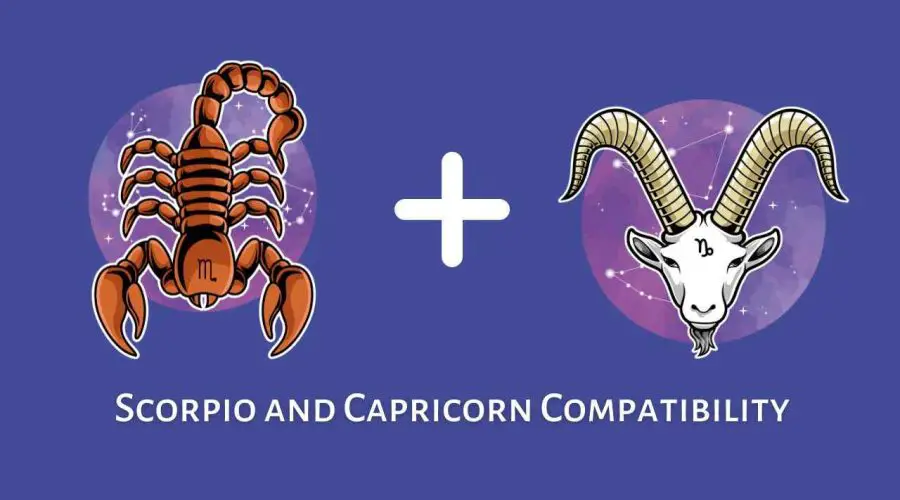 Scorpio and Capricorn Compatibility – Are Capricorn and Scorpio Compatible? [Updated 2023]