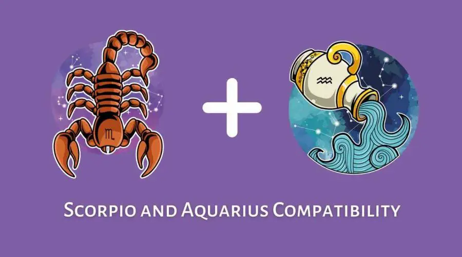 Scorpio and Aquarius Compatibility – Are Aquarius and Scorpio Compatible? [Updated 2023]