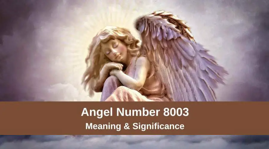 All You need to know about 8003 Angel Number – Meaning & Significance