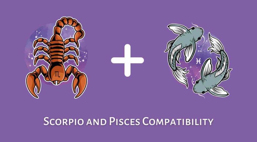 Scorpio and Pisces Compatibility – Are Pisces and Scorpio Compatible? [Updated 2023]