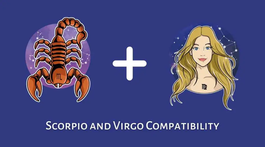 Scorpio and Virgo Compatibility – Are Virgo and Scorpio Compatible? [Updated 2023]