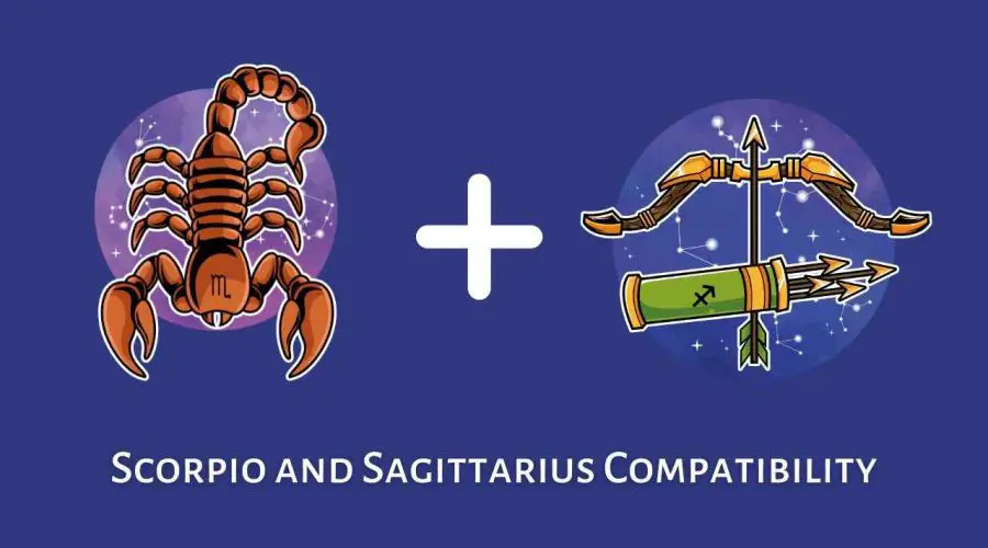 Scorpio and Sagittarius Compatibility – Are Sagittarius and Scorpio Compatible? [Updated 2023]