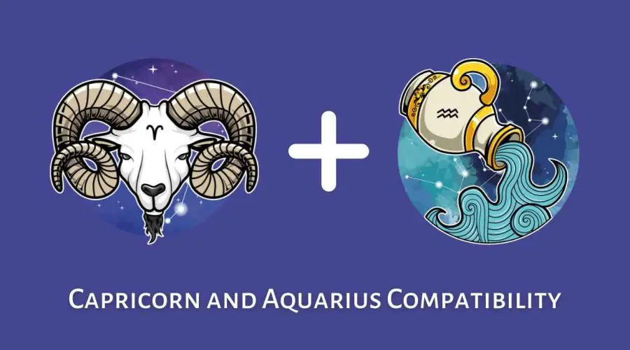 Aquarius and Capricorn Compatibility – Are Capricorn and Aquarius Compatible? [Updated 2023]