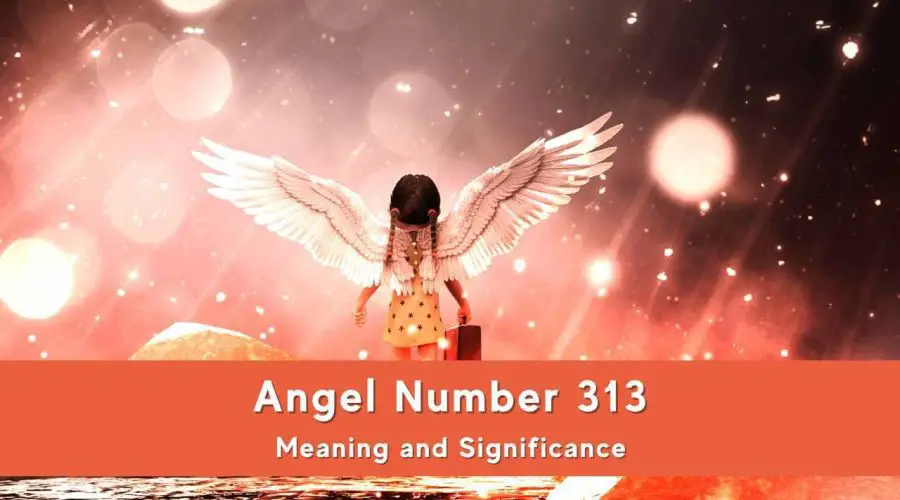 All You Need to Know About 313 Angel Number – Meaning & Significance