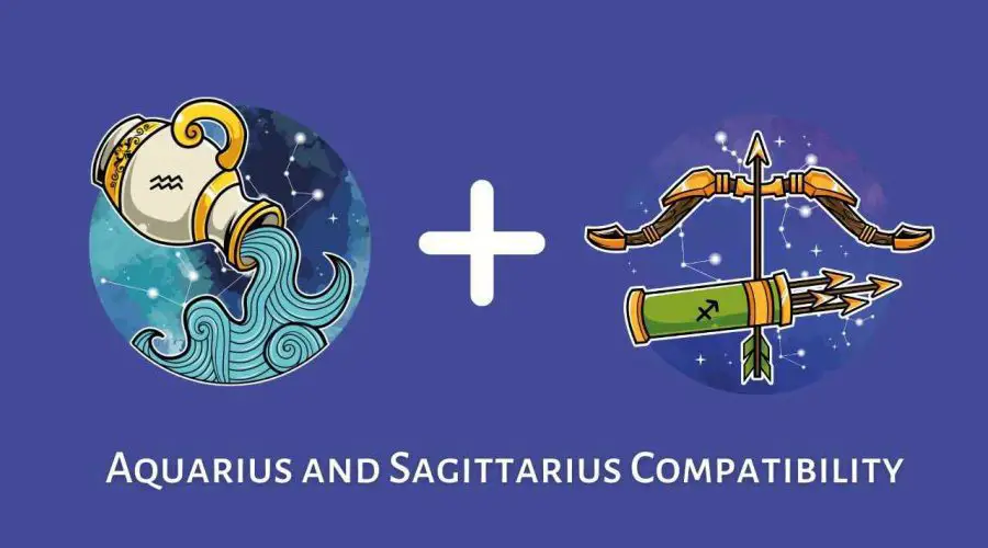 Aquarius and Sagittarius Compatibility – Are Sagittarius and Aquarius Compatible? [Updated 2023]