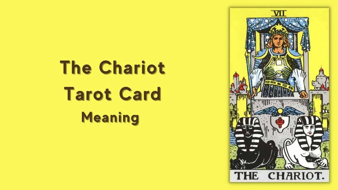 Top hơn 28 the chariot tarot mới nhất