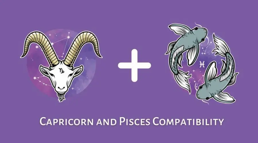 Capricorn and Pisces Compatibility – Are Pisces and Capricorn Compatible? [Updated 2023]