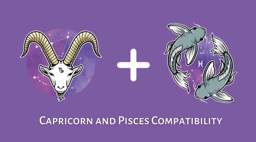 Capricorn and Pisces Compatibility – Are Pisces and Capricorn Compatible? [Updated 2023]