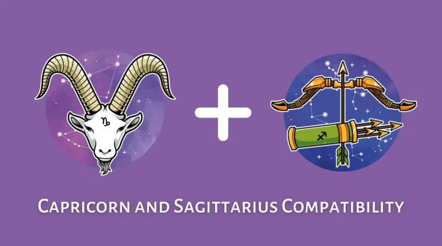 Capricorn and Sagittarius Compatibility – Are Sagittarius and Capricorn Compatible? [Updated 2023]