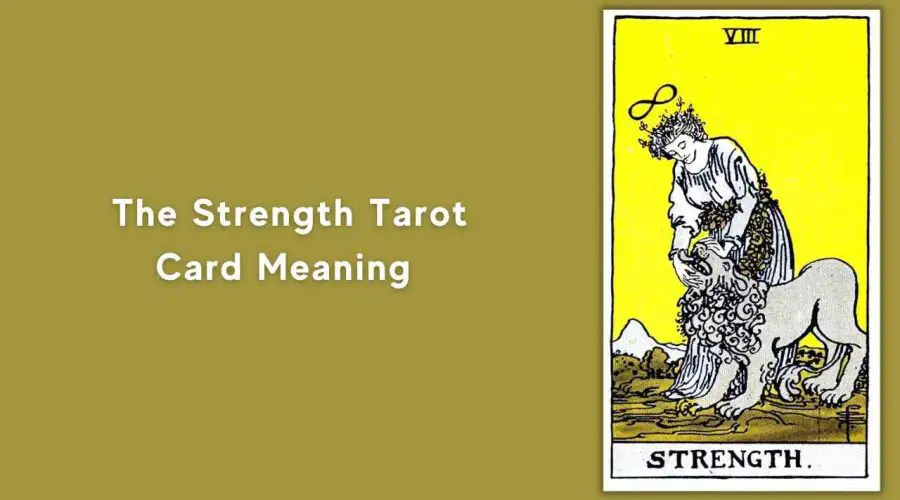All About The Strength Tarot Card – The Strength Tarot Card Meaning