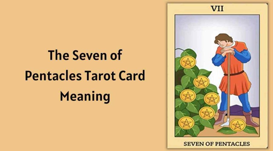 All About The Seven of Pentacles Tarot Card – The Seven of Pentacles Tarot Card Meaning