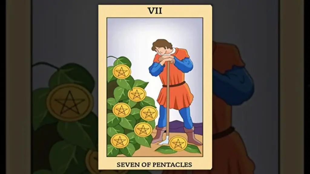 The Seven of Pentacles Tarot Card Description