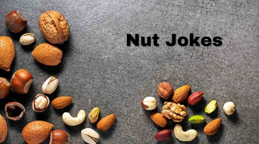 40 Best Nut Jokes – 40 Nut Jokes One-Liners