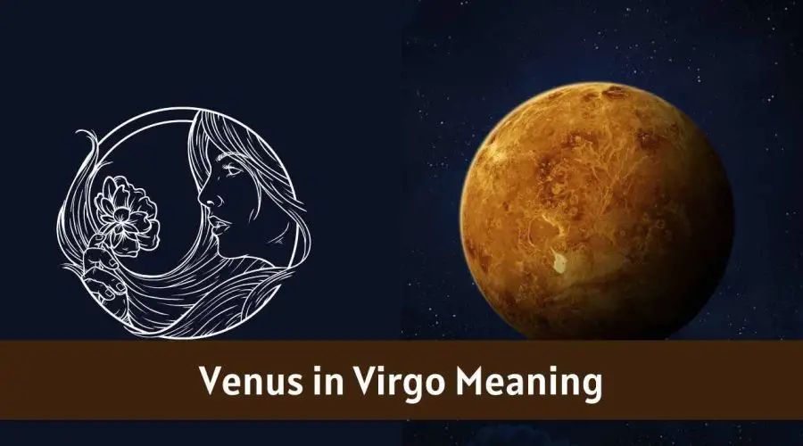Venus in Virgo – All You need to know about “Venus in Virgo”