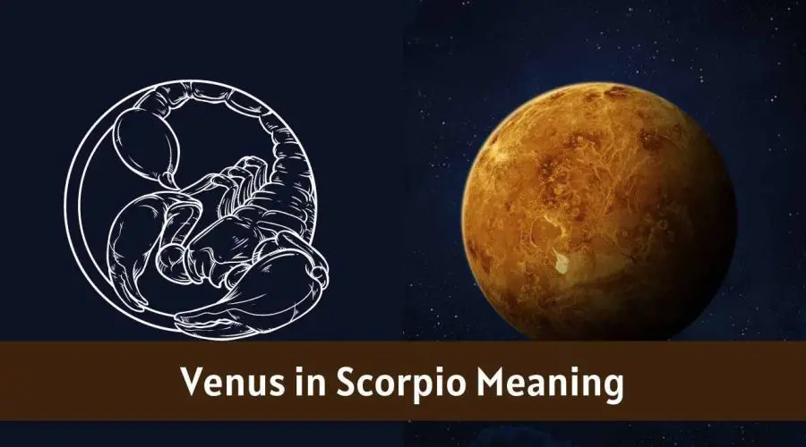 Venus in Scorpio – All You need to know about “Venus in Scorpio”