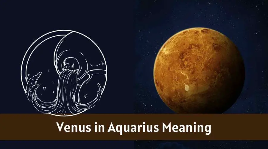 Venus in Aquarius – All You need to know about “Venus in Aquarius”
