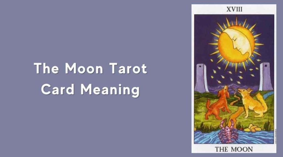 All About The Moon Tarot Card – The Moon Tarot Card Meaning
