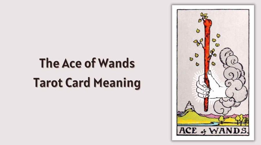 All About The Ace of Wands Tarot Card – The Ace of Wands Tarot Card Meaning
