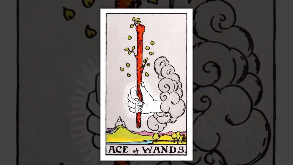 The Ace of Wands Tarot Card Description