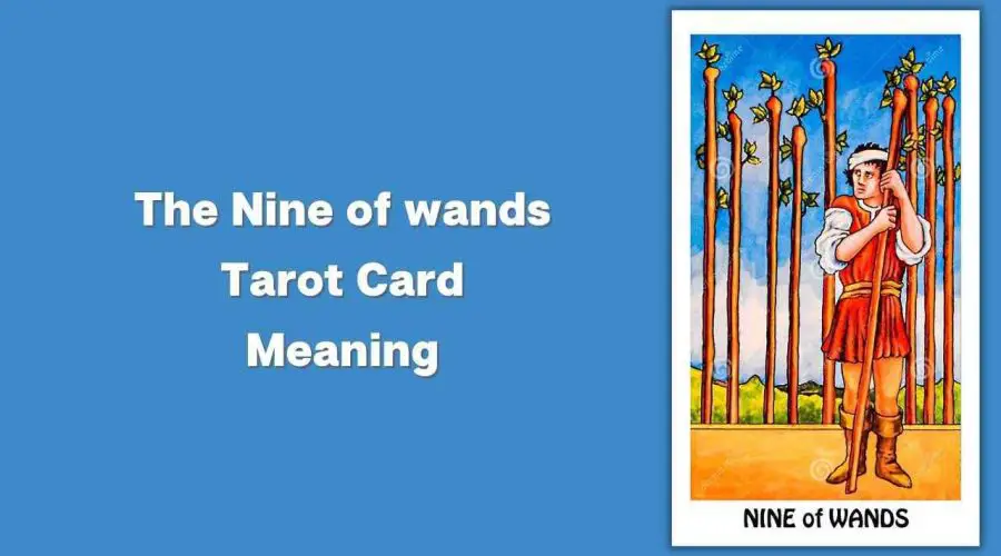 All About The Nine of wands Tarot Card – The Nine of wands Tarot Card Meaning