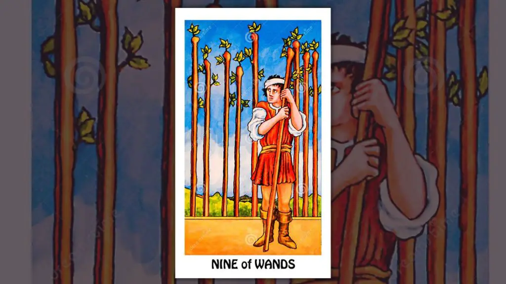 The Nine of wands Tarot Card Description