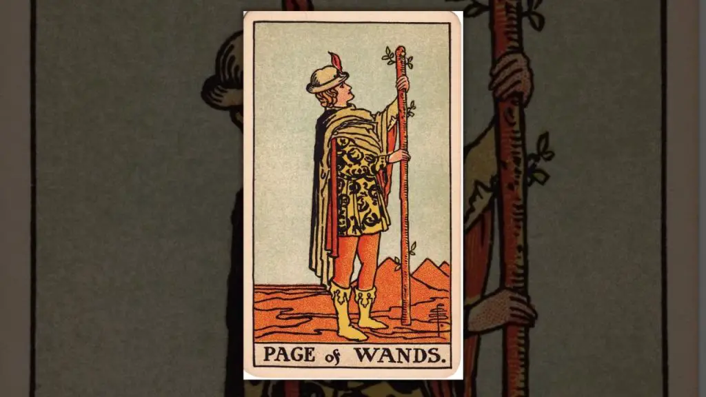 The Page of wands Tarot Card Description