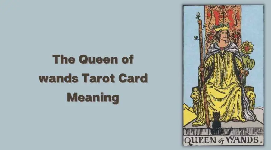 All About The Queen of wands Tarot Card – The Queen of wands Tarot Card Meaning
