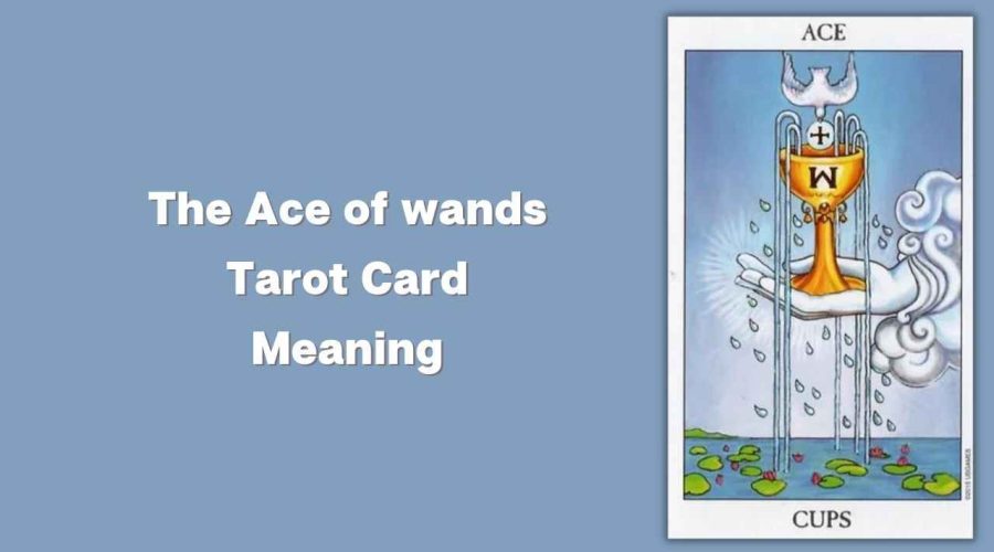 All About The Ace of Cups Tarot Card – The Ace of Cups Tarot Card Meaning